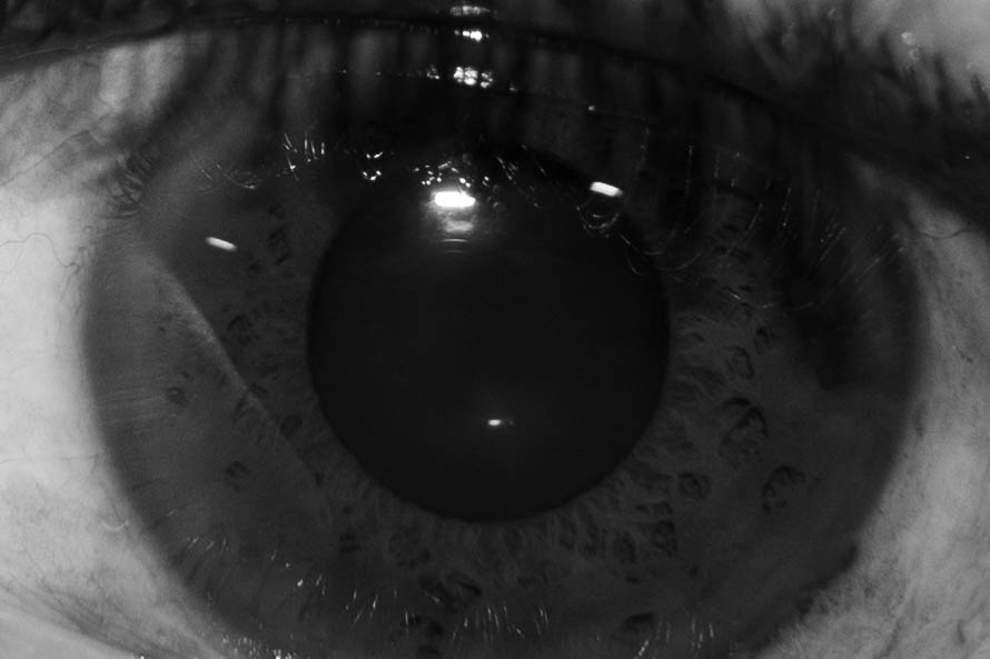 Photo from The Nature of Attention